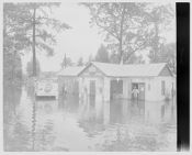 Stokes store flood 
